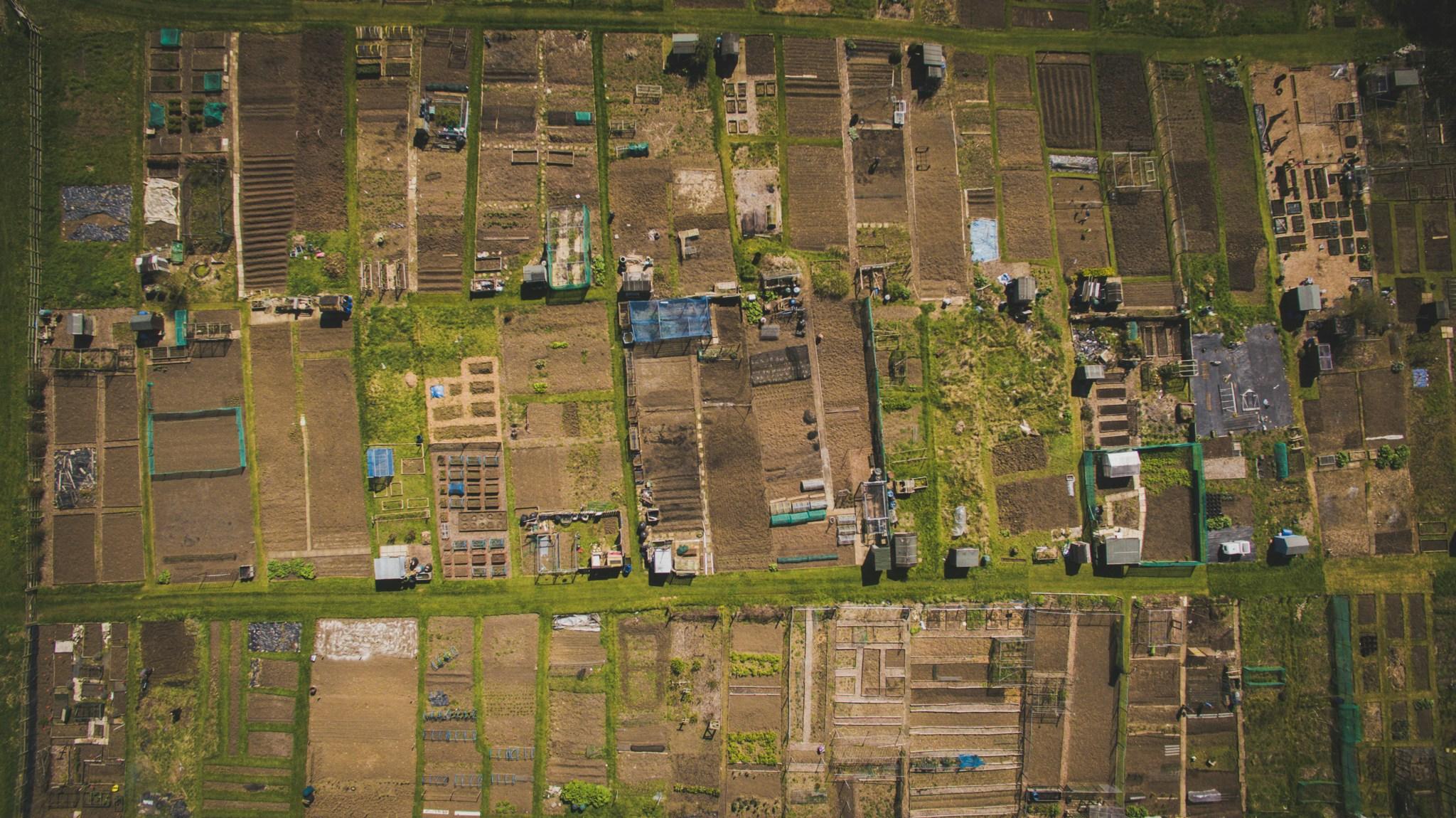 Residential Plot in Hyderabad