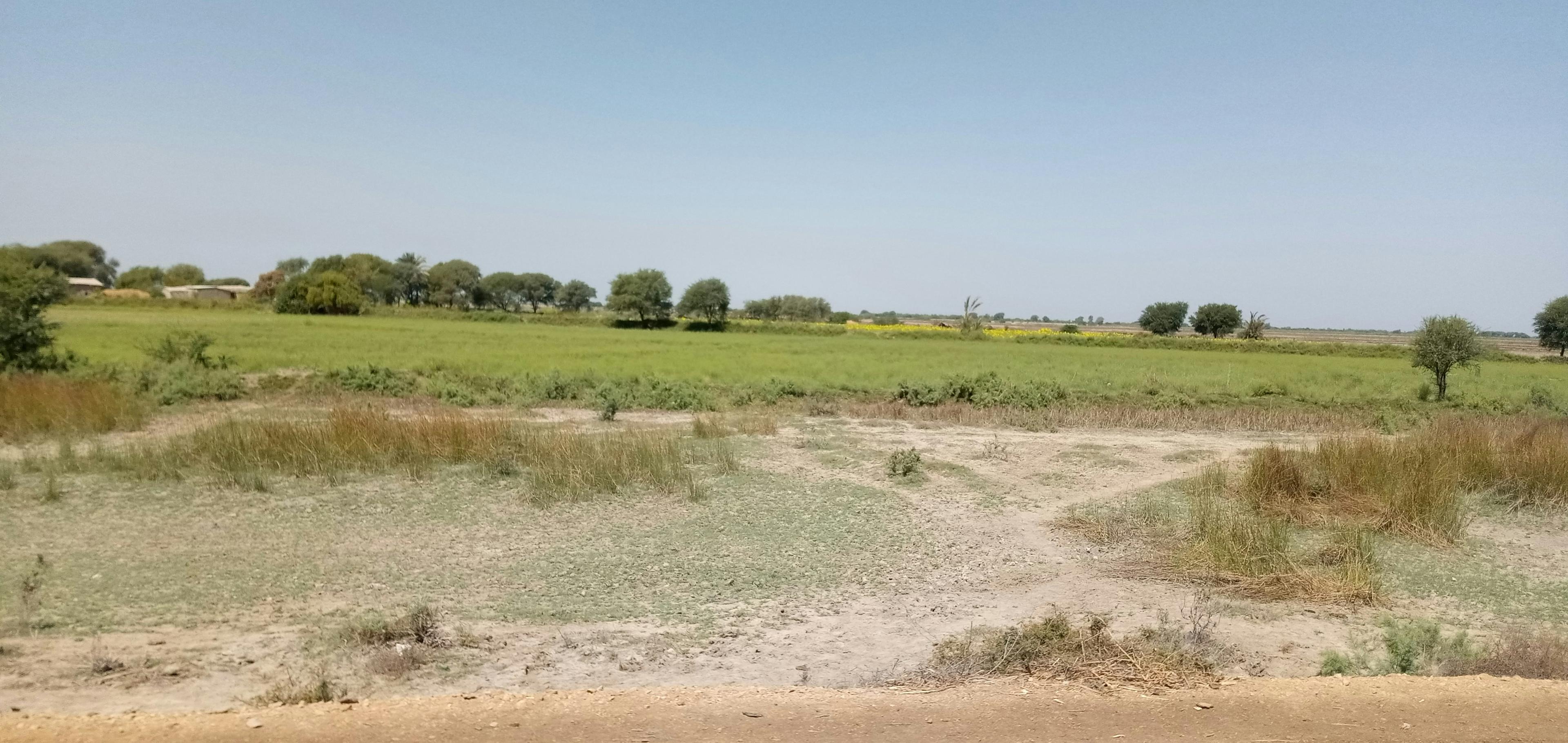 Commercial Plot in Pune